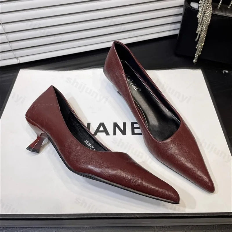 Leather Pointed Elegant French Heels
